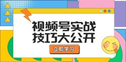 视频号实战技巧大公开：选题拍摄、运营推广、直播带货一站式学习 (无水印
