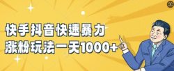 快手抖音快速暴力涨粉玩法，新手小白也能学会，一天1k+【揭秘】