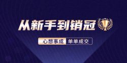 从新手到销冠：精通客户心理学，揭秘销冠背后的成交秘籍