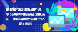 拼多多电商虚拟进阶课，学习高利润的多多虚拟玩法，利用电商思维进行选品+运营(更新)