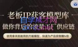 行舟·老板IP流量供应链