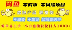 闲鱼 零成本 零风险项目 虚拟产品秒发货 不囤货 不垫资 超高复购率  简…