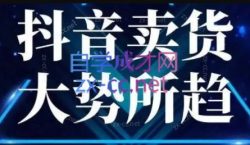 董老板六边形千川运营(录音+文字+课件)