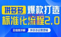 云杉老师·拼多多爆款打造标准化流程2.0