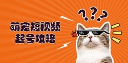 萌宠-短视频起号攻略：定位搭建推流全解析，助力新手轻松打造爆款