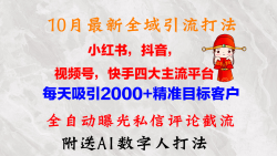10月最新小红书，抖音，视频号，快手四大平台全域引流，，每天吸引2000…
