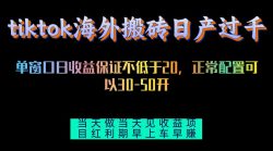 tiktok海外搬砖项目单机日产过千当天做当天见收益