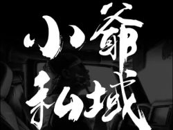 小爷·私域项目操盘手