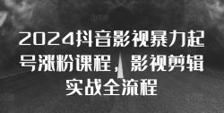 2024抖音影视暴力起号涨粉课程，影视剪辑搬运实战全流程