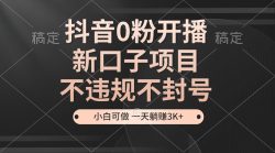 抖音0粉开播，新口子项目，不违规不封号，小白可做，一天躺赚3K+