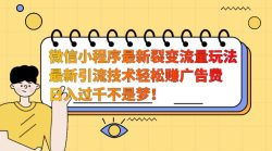 微信小程序最新裂变流量玩法，时间自由收益高轻松赚广告费，日入过千不是梦！