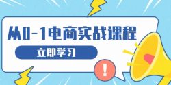从零做电商实战课程，教你如何获取访客、选品布局，搭建基础运营团队