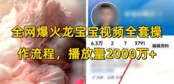 全网爆火龙宝宝视频全套操作流程，播放量2000万+
