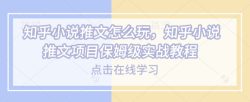 知乎小说推文怎么玩，知乎小说推文项目保姆级实战教程