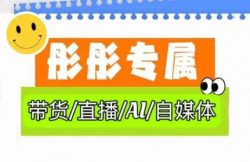 彤彤电商·普通人如何用ai做自媒体