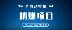 全自动挂机项目 月入3w+ 真正躺平项目 不吃电脑配置 当天见收益