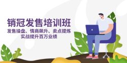销冠 发售培训班：发售 操盘+情商 飙升+卖点 提炼，实战提升百万业绩