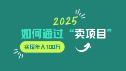 2025年如何通过“卖项目”实现年入100w