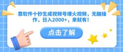 靠软件十秒生成视频号爆火视频，无脑操作，日入2000+，来就有！