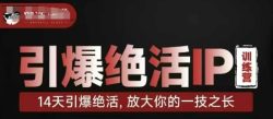 引爆绝活IP训练营，14天引爆绝活，放大你的一技之长