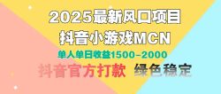 2025最新风口项目 抖音小游戏MCN 单人单日收益1500-2000+