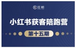 抖音小红书视频号短视频带货与直播变现(11-16期),打造爆款内容，实现高效变现(更新)
