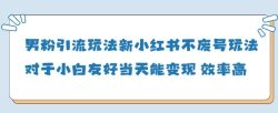 男粉引流玩法(新)，玩法友好做的好当天就能变现