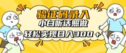 信息录入项目，10秒一单，新手小白听话照做快速上手，实现日入300＋