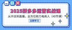 2025拼多多运营实战课，从开店到直播，全方位助力电商人(40节课