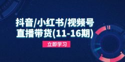 抖音/小红书/视频号/直播带货(11-16期