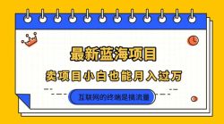 2025年最新蓝海项目，卖项目小白也能月入过万