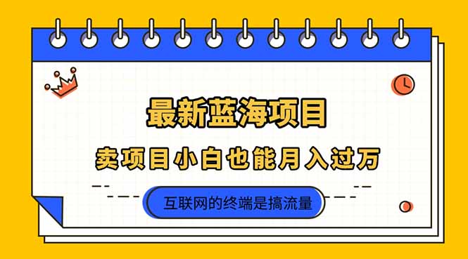 2025年最新蓝海项目，卖项目小白也能月入过万