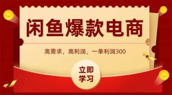闲鱼卖爆款数码产品，当天上架即可出单，一天利润1000