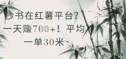 抄书在小红薯平台？平均一单30米，一天收益几张！