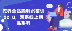 无界全站盈利术密训22.0，淘系线上精品系列
