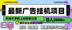 最新广告挂机项目，日入2000+，做副业的不二之选