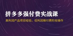 拼多多强付费实战课-44期，高利润产品项目经验，低利润微付费阶段操作