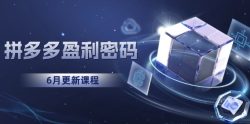 拼多多盈利密码：从烧钱推广到印钞模型，底层逻辑重构指南(6月更新