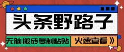 头条野路子玩法之相亲赛道，无脑搬砖复制粘贴，单账号日稳定300+保姆级教程