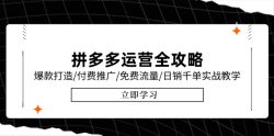 拼多多运营全攻略，爆款打造/付费推广/免费流量/日销千单实战教学/6月更新