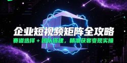 企业短视频矩阵全攻略，赛道选择+团队搭建，精准获客变现实操