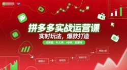 拼多多实战运营课，实时玩法，爆款打造，改销量，补大单，AB单，直播等(更新2025月)