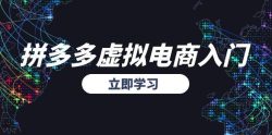 拼多多虚拟电商入门，精准选品方法论，无货源模式起盘技巧