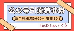 公众号私域获客，软文引流个人IP打造日引30+，快速沉淀起自己的私域流量池