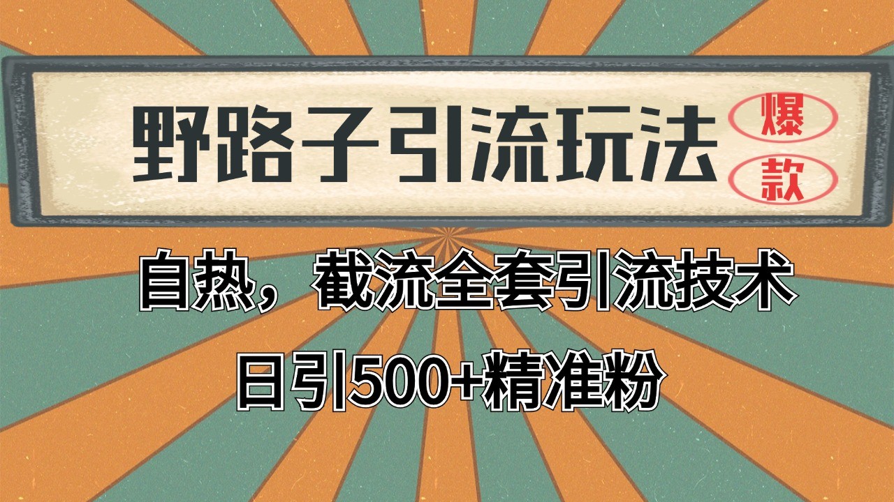 2024首发野路子引流玩法截流自热全平台打法,全自动引流【日引2000+精准客户】插图 2024首发野路子引流玩法截流自热全平台打法,全自动引流【日引2000+精准客户】
