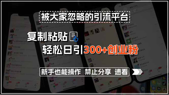 被大家忽略的引流平台，复制粘贴轻松日引300+创业粉，新手也能操作，禁...