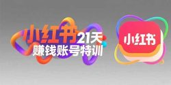 小红书21天赚钱账号特训：黄金定位技巧，高转粉文案创作，科学引流策略