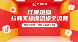 红果短剧拉新实操全流程，发就有米拿，单账号月收入几k