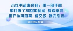 小红书蓝海项目，一部手机单月做了3W利润，小白也能月入过1W用户认可度高成交多