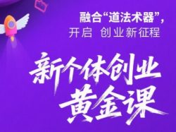 新个体创业黄金课：道法术器四维抢占2025红利